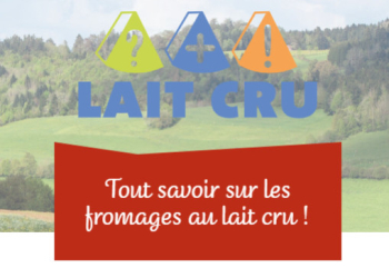 Les fromages au lait cru : un savoir-faire vivant, un goût incomparable